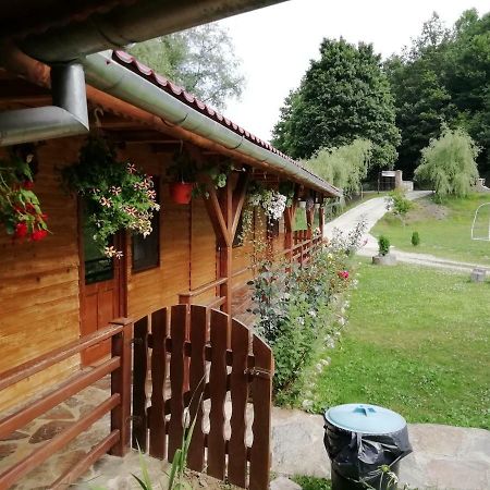 Pensiunea La Busu -Bigar Bozovici Esterno foto