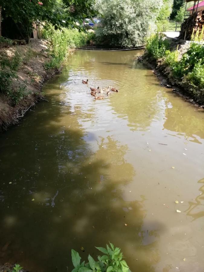 Pensiunea La Busu -Bigar Bozovici Esterno foto