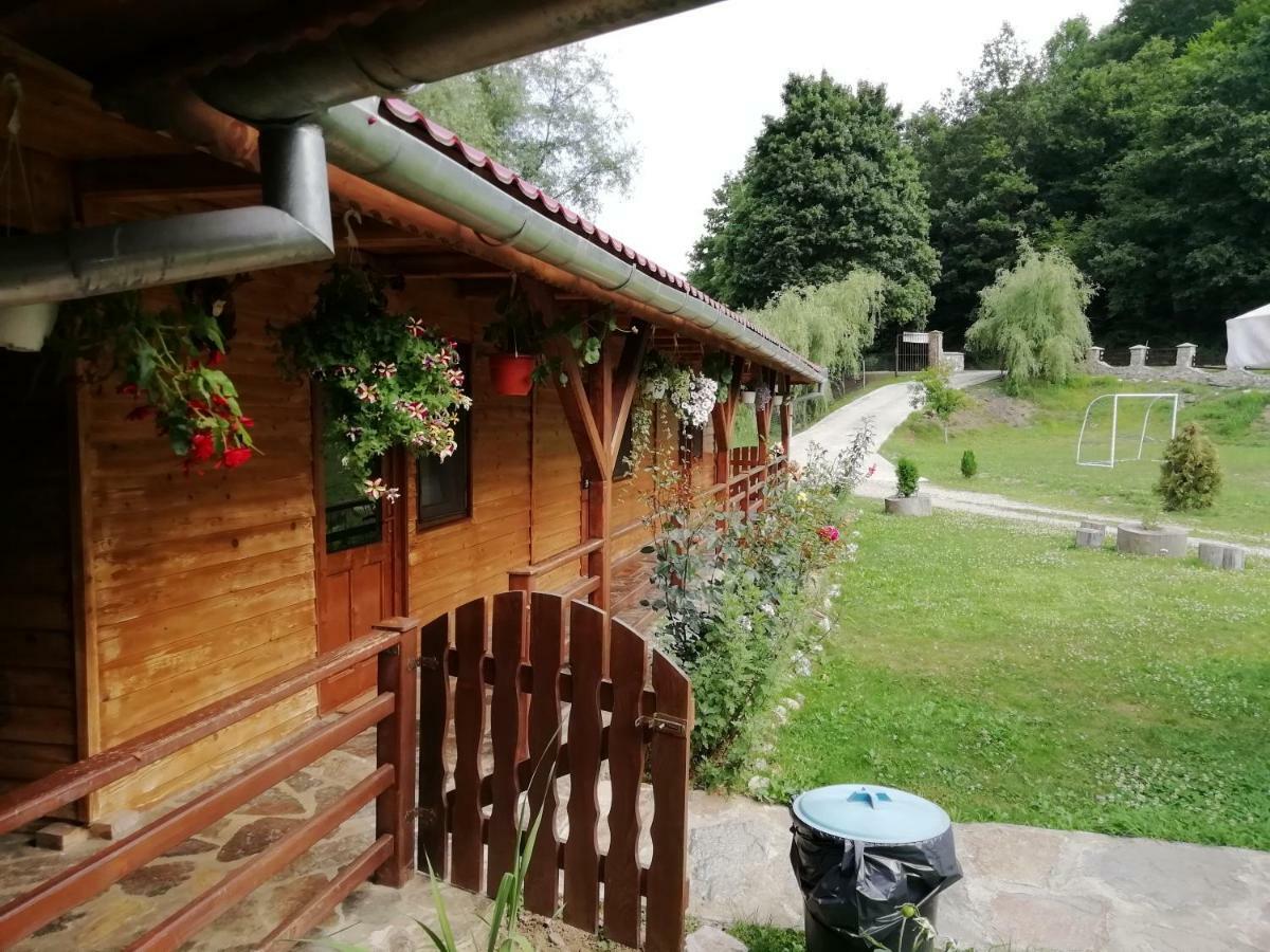 Pensiunea La Busu -Bigar Bozovici Esterno foto