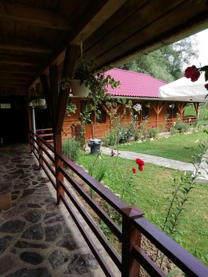 Pensiunea La Busu -Bigar Bozovici Esterno foto