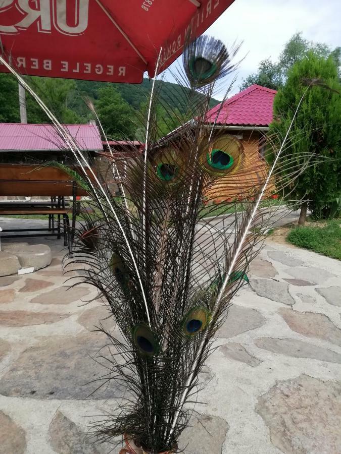 Pensiunea La Busu -Bigar Bozovici Esterno foto